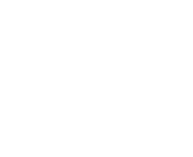 logo e1745622350729